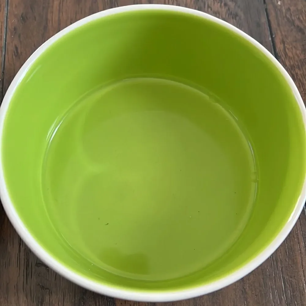 Rae Dunn Devour and Munch Pet Dish / bowl both like new never used for pet food